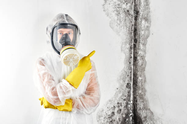 Why You Should Choose Our Mold Remediation Services in Lake Heritage, PA