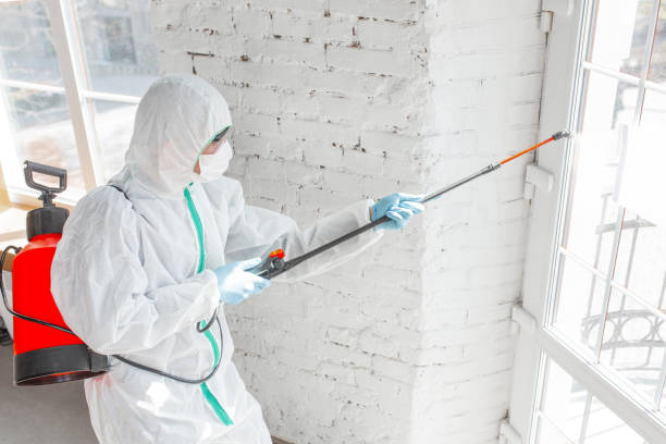 Best Mold Removal for HVAC Installations  in Lake Heritage, PA