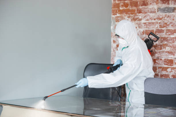 Best Asbestos and Lead Testing During Mold Inspection  in Lake Heritage, PA