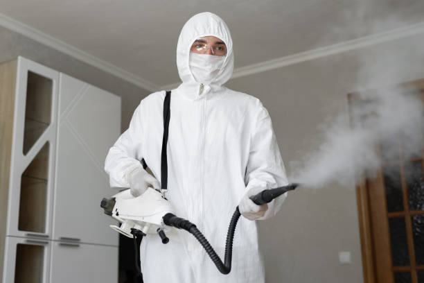 Best Black Mold Removal  in Lake Heritage, PA