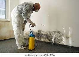 Best Water Damage & Mold Remediation  in Lake Heritage, PA